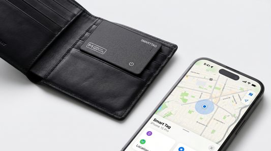 CardTrace nel portafoglio, ritrovata dall'iPhone con l'app Dov'è